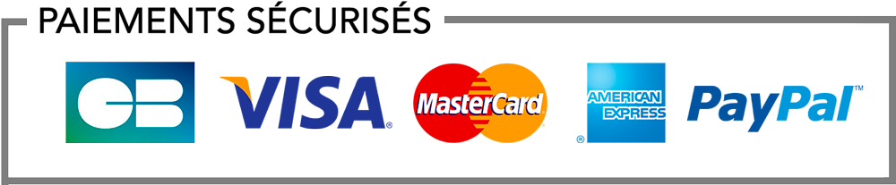 paiements securises